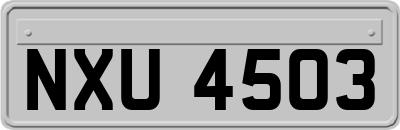 NXU4503