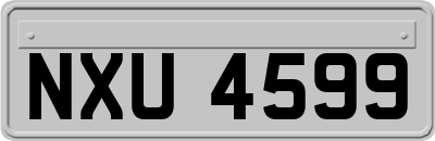 NXU4599