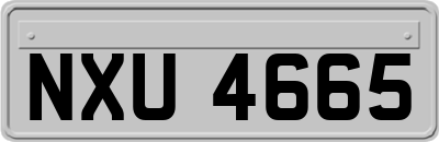 NXU4665