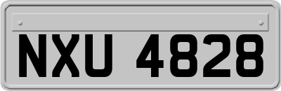NXU4828