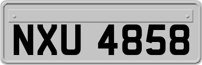 NXU4858