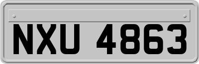 NXU4863