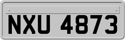 NXU4873