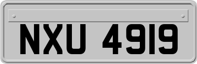 NXU4919