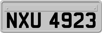 NXU4923