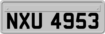 NXU4953