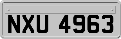 NXU4963