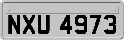 NXU4973