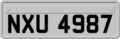 NXU4987