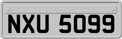 NXU5099