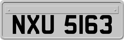 NXU5163
