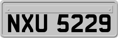 NXU5229