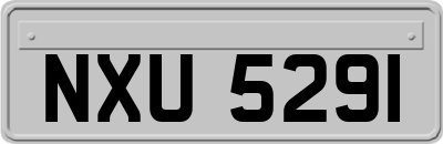 NXU5291