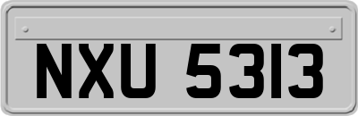 NXU5313