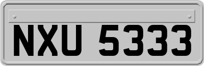 NXU5333