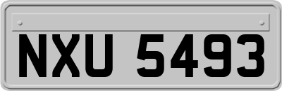 NXU5493