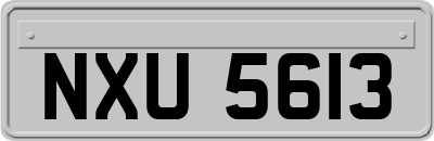 NXU5613