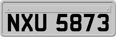 NXU5873