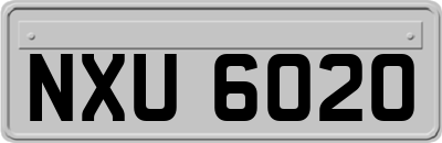 NXU6020