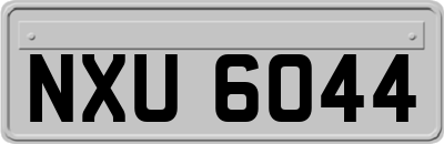 NXU6044