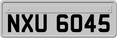 NXU6045
