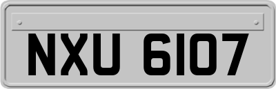 NXU6107