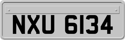NXU6134