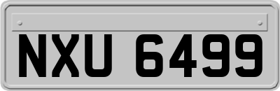 NXU6499