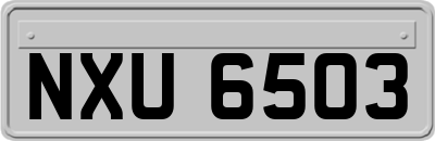 NXU6503