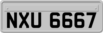 NXU6667