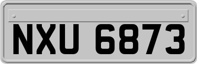 NXU6873