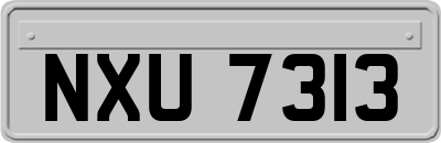 NXU7313
