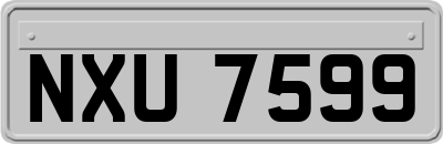 NXU7599