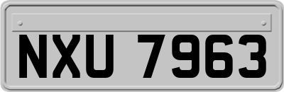 NXU7963