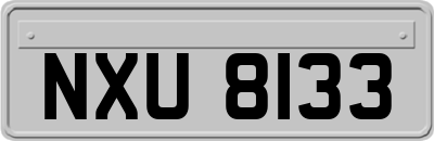 NXU8133