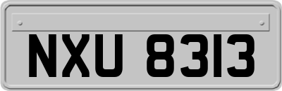 NXU8313