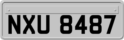 NXU8487