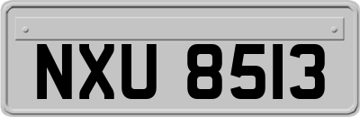 NXU8513
