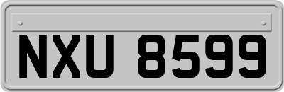 NXU8599