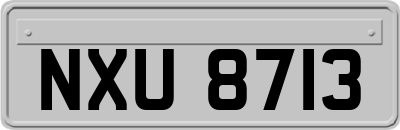 NXU8713