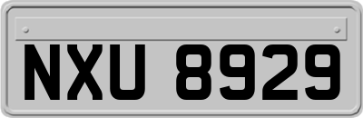 NXU8929