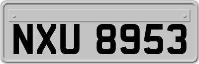 NXU8953