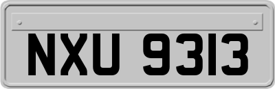 NXU9313