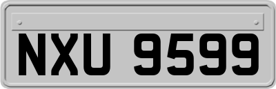 NXU9599