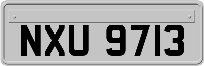 NXU9713