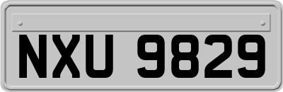 NXU9829