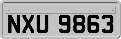 NXU9863