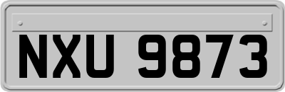 NXU9873