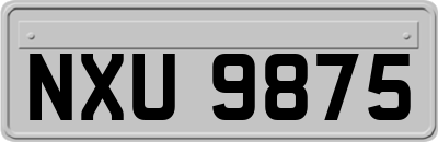NXU9875