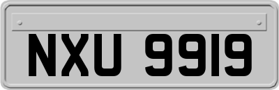 NXU9919